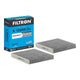 FİLTRON POLEN FİLTRESİ K1260A-2x