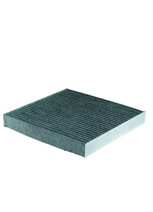 FİLTRON POLEN FİLTRESİ K1187A