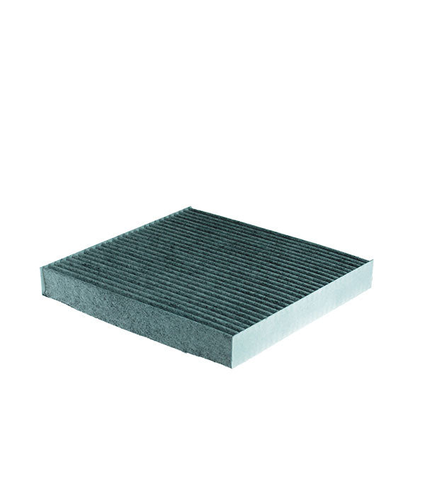 FİLTRON POLEN FİLTRESİ K1187A