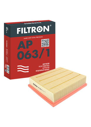 FİLTRON HAVA FİLTRESİ AP063/1