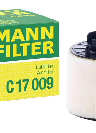 MANN HAVA FİLTRESİ C17009