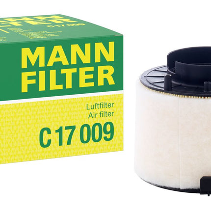 MANN HAVA FİLTRESİ C17009