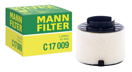 MANN HAVA FİLTRESİ C17009