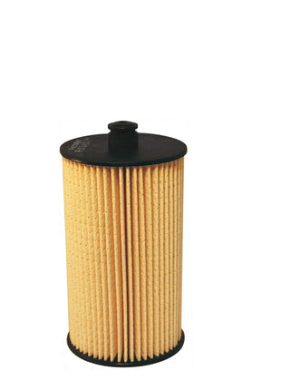 FİLTRON YAKIT FİLTRESİ PE973/4