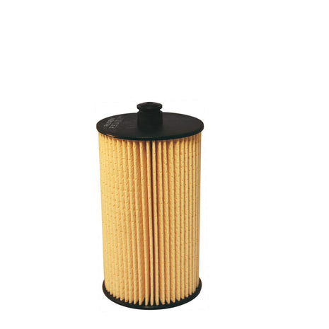 FİLTRON YAKIT FİLTRESİ PE973/4