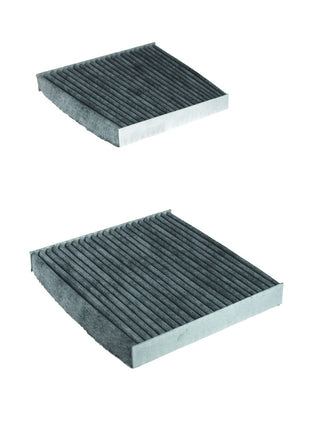 FİLTRON POLEN FİLTRESİ K1336A-2X