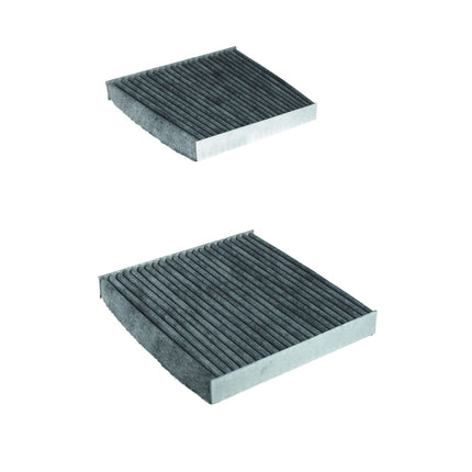 FİLTRON POLEN FİLTRESİ K1336A-2x