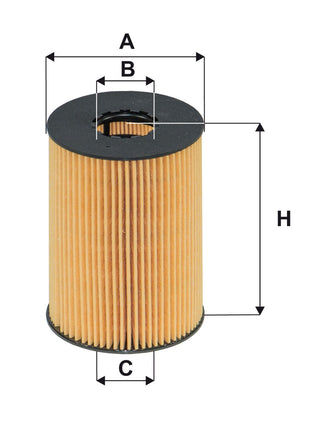 FİLTRON YAĞ FİLTRESİ OE669/1
