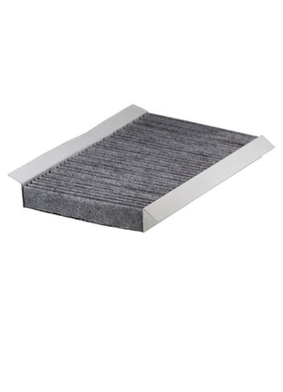 FİLTRON POLEN FİLTRESİ K1093A