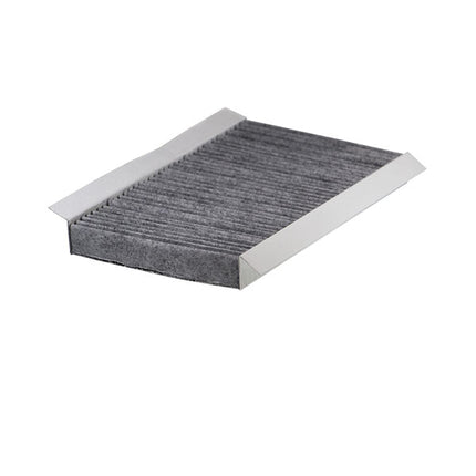 FİLTRON POLEN FİLTRESİ K1093A