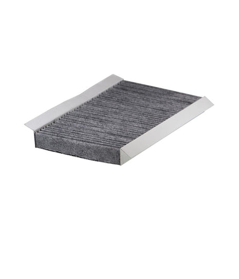 FİLTRON POLEN FİLTRESİ K1093A