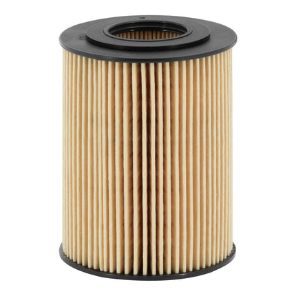 FİLTRON YAĞ FİLTRESİ OE677/1