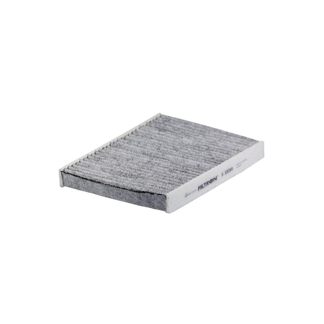 FİLTRON POLEN FİLTRESİ K1101A