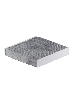 FİLTRON POLEN FİLTRESİ K1236A