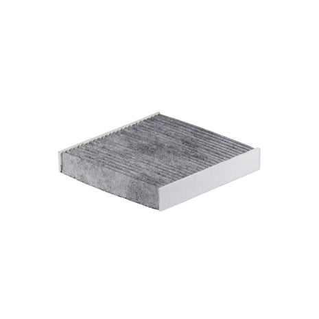 FİLTRON POLEN FİLTRESİ K1236A