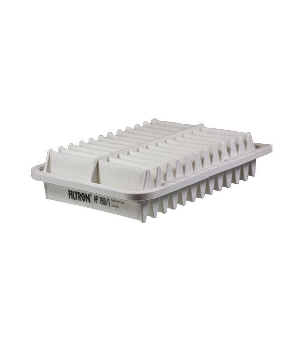 FİLTRON HAVA FİLTRESİ AP160/1