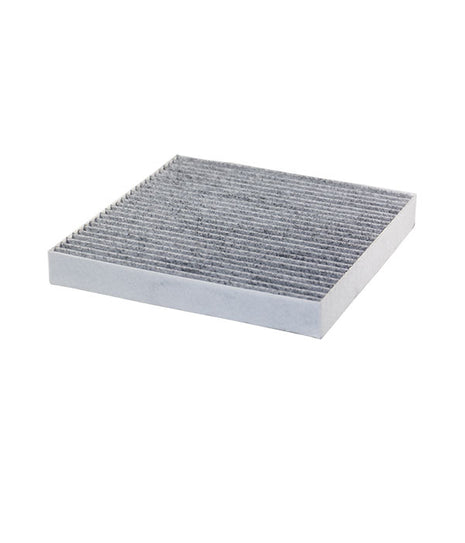 FİLTRON POLEN FİLTRESİ K1409A