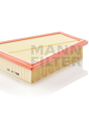 MANN HAVA FİLTRESİ C27125