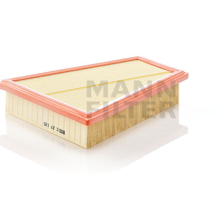 MANN HAVA FİLTRESİ C27125