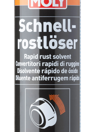 LIQUI MOLY HIZLI PAS SÖKÜCÜ 300ML
