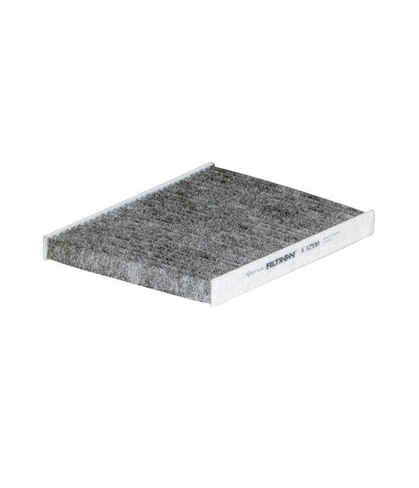 FİLTRON POLEN FİLTRESİ K1251A
