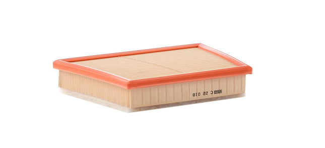 MANN HAVA FİLTRESİ C22018