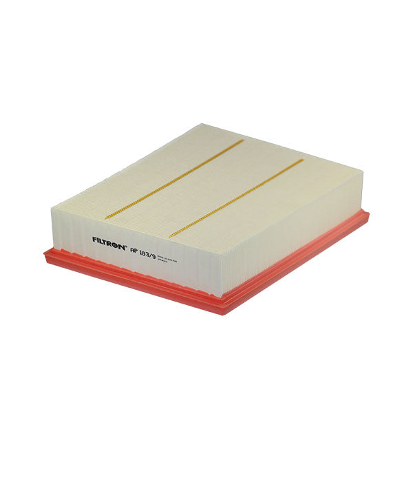 FİLTRON HAVA FİLTRESİ AP183/9