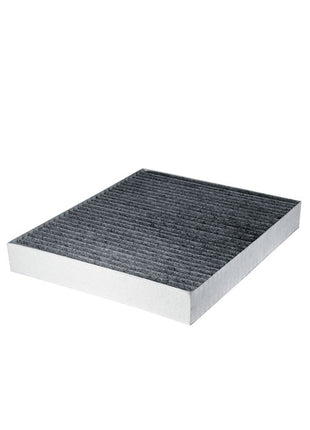 FİLTRON POLEN FİLTRESİ K1343A