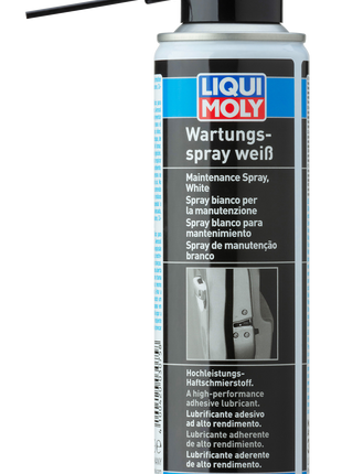LIQUI MOLY KAPI KİLİT SPREYİ 250ML