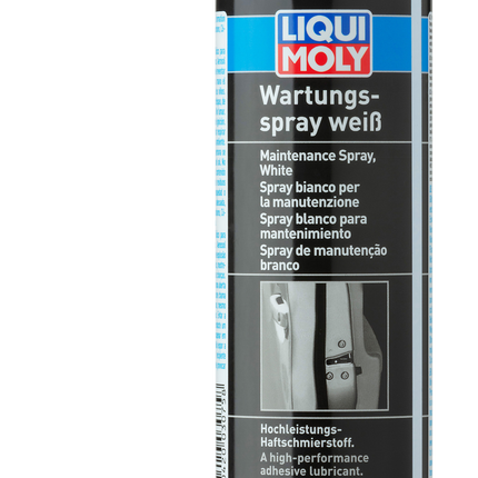 LIQUI MOLY KAPI KİLİT SPREYİ 250ML