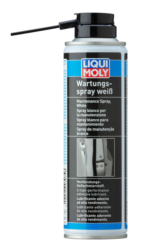 LIQUI MOLY KAPI KİLİT SPREYİ 250ML