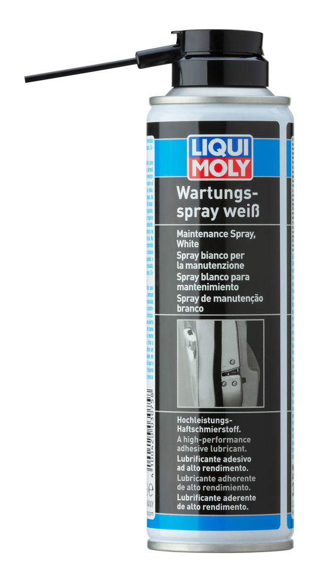 LIQUI MOLY KAPI KİLİT SPREYİ 250ML