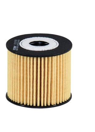FİLTRON YAĞ FİLTRESİ OE674/8