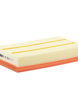 FİLTRON HAVA FİLTRESİ AP183/6