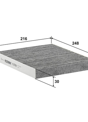FİLTRON POLEN FİLTRESİ K1079A