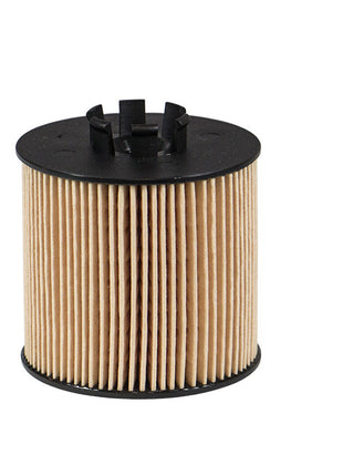 FİLTRON YAĞ FİLTRESİ OE650/2