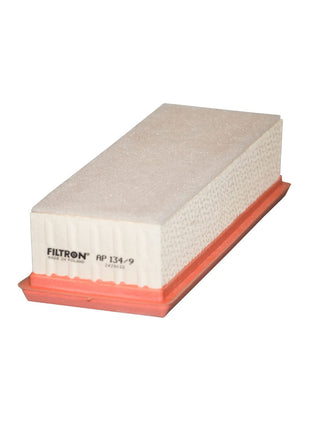 FİLTRON HAVA FİLTRESİ AP134/9