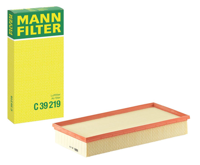 MANN HAVA FİLTRESİ C39219
