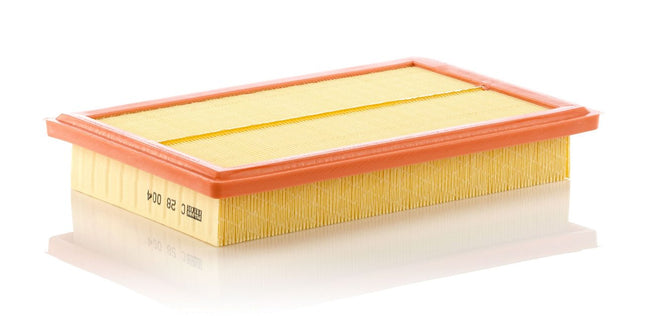 MANN HAVA FİLTRESİ C28004