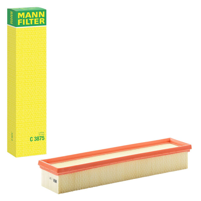 MANN HAVA FİLTRESİ C3875