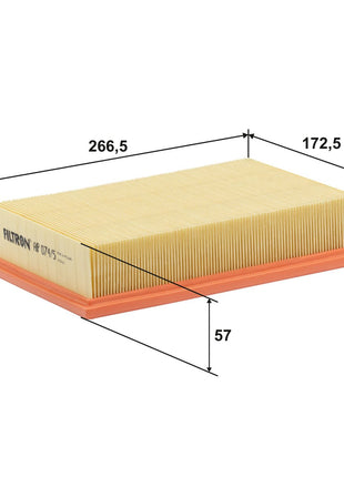 FİLTRON HAVA FİLTRESİ AP074/5