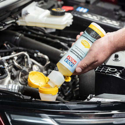 LIQUI MOLY CAM TEMIZLEME KONSANTRESI 250ML