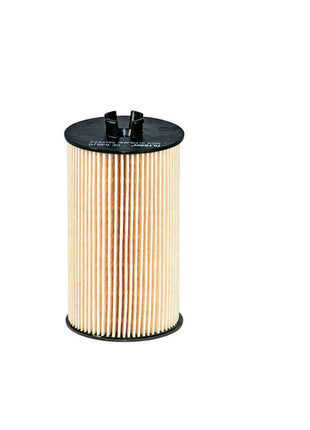 FİLTRON YAĞ FİLTRESİ OE648/6