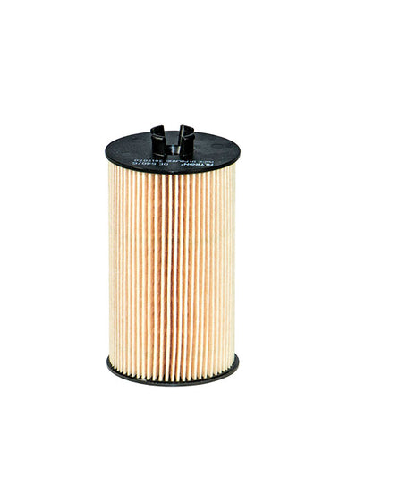 FİLTRON YAĞ FİLTRESİ OE648/6