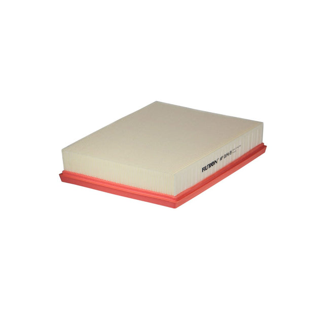 FİLTRON HAVA FİLTRESİ AP034/8