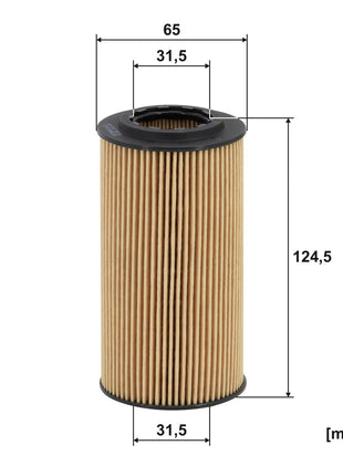 FİLTRON YAĞ FİLTRESİ OE662/1