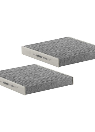FİLTRON POLEN FİLTRESİ K1260A-2X
