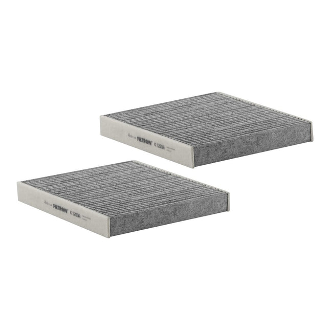 FİLTRON POLEN FİLTRESİ K1260A-2x