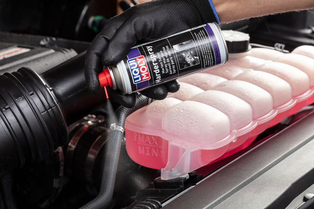LIQUI MOLY KEMİRGEN KORUYUCU 200ML