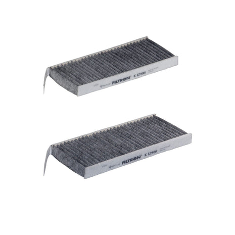 FİLTRON POLEN FİLTRESİ K1248A-2X